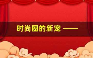 时尚圈的新宠 —— 厚底鞋的时尚攻略